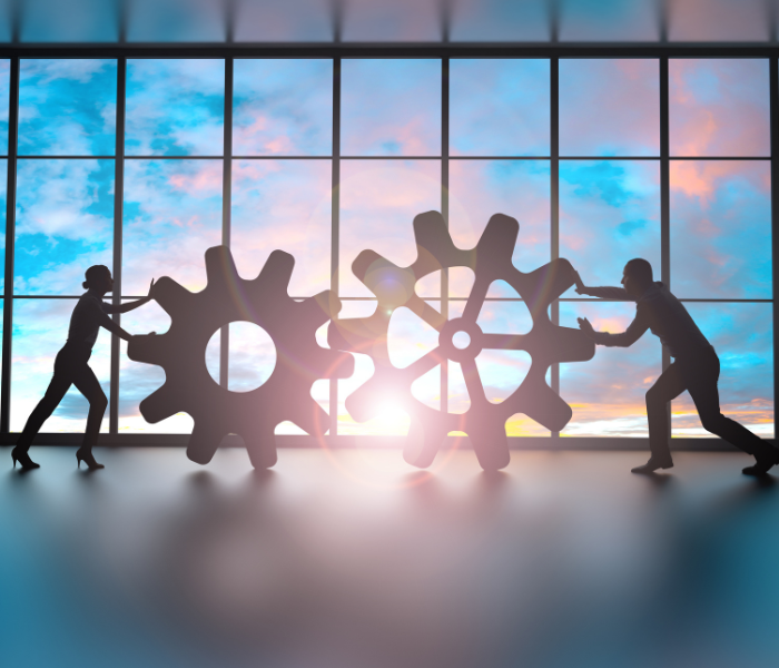 diferencia entre una agencia y una consultora